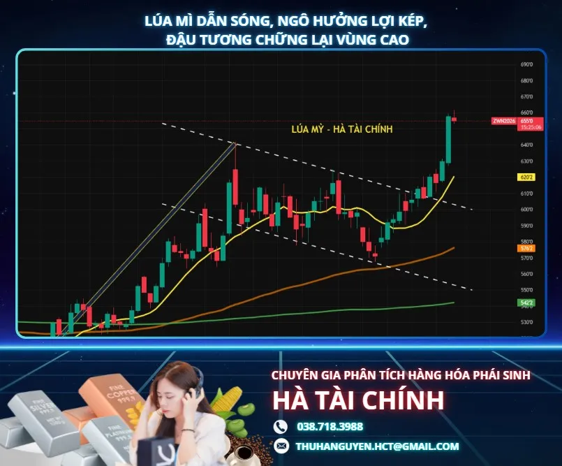 Lúa mì dẫn sóng, ngô hưởng lợi kép, đậu tương chững lại vùng cao